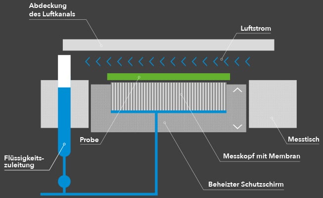 hohensteiner_hautmodel