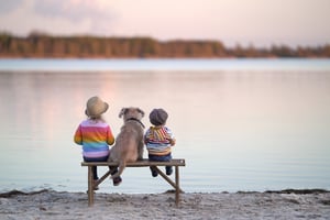 AdobeStock_545729498