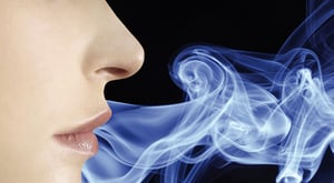 Emissionen und Geruch VIAQ