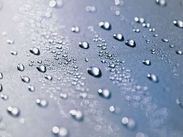 iStock_000013624781_375x282